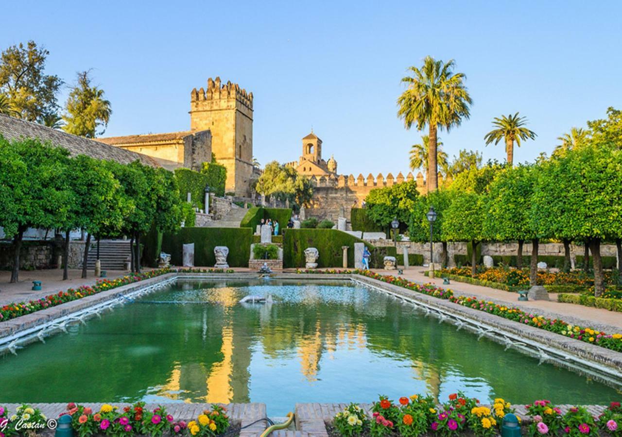 *New* Cerca De La Mezquita Apartment Cordoba Luaran gambar